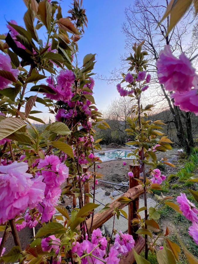 Agriturismo I Prati Di Venere Vila Sesta Godano Exterior foto